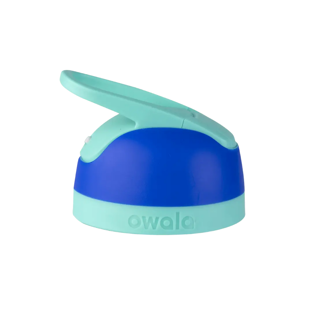 Replacement Lids