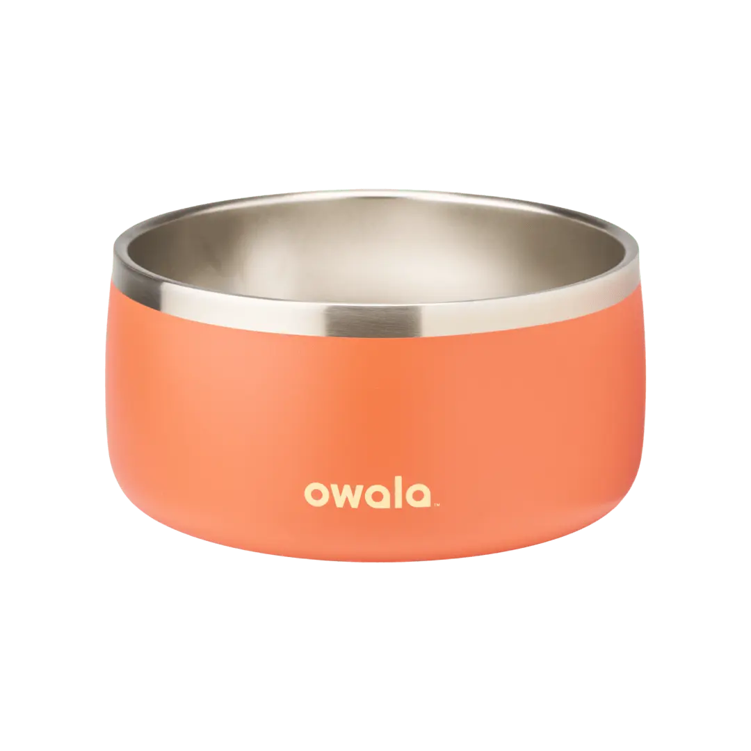 Pet Bowl