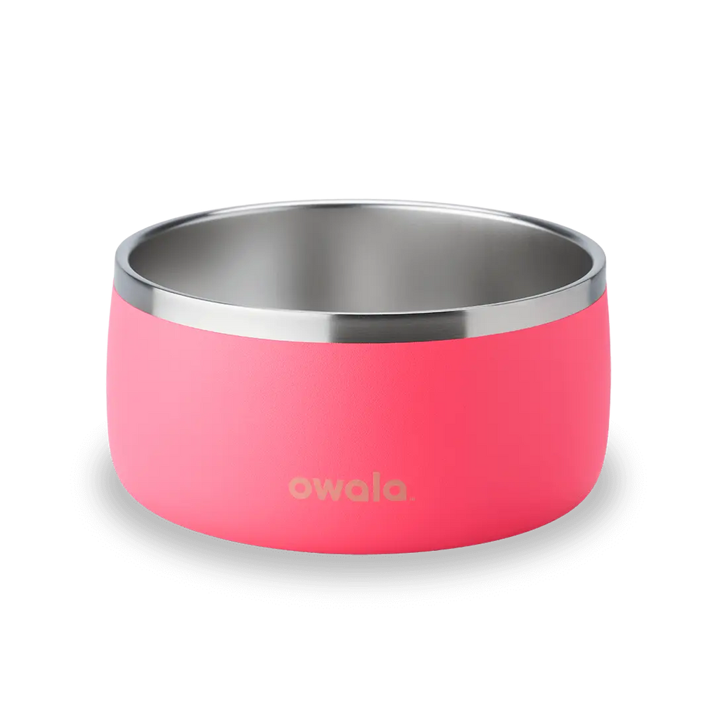 Pet Bowl